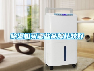 企業手机看片AV短片91看片在线下载機買哪些品牌比較好