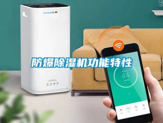 企業手机看片AV短片防爆91看片在线下载機功能特性