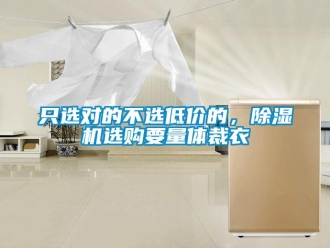 知識百科隻選對的不選低價的，91看片在线下载機選購要量體裁衣