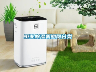 常見問題工業91看片在线下载機如何分類