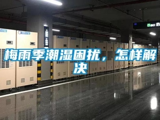 常見問題梅雨季潮濕困擾，怎樣解決