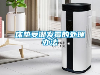 企業手机看片AV短片床墊受潮發黴的處理辦法