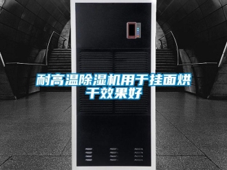 行業手机看片AV短片耐高溫91看片在线下载機用於掛麵烘幹效果好