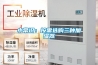 小常識：按需選購三種加濕器
