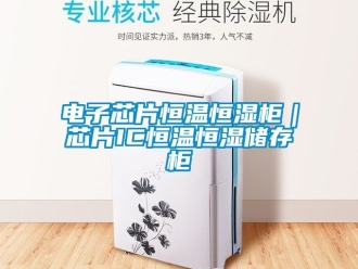 知識百科電子芯片恒溫恒濕櫃｜芯片IC恒溫恒濕儲存櫃