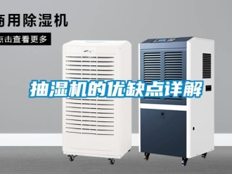 企業手机看片AV短片抽濕機的優缺點詳解