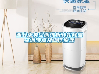 常見問題西安中央空調淺析轉輪91看片在线下载空調特點及工作原理