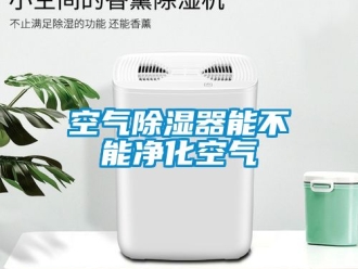 行業手机看片AV短片空氣91看片在线下载器能不能淨化空氣