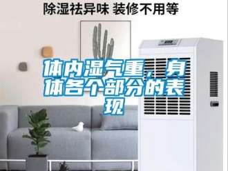 知識百科體內濕氣重，身體各個部分的表現