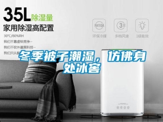 企業手机看片AV短片冬季被子潮濕，仿佛身處冰窖