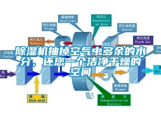 企業手机看片AV短片91看片在线下载機抽掉空氣中多餘的水分，還您一個潔淨幹燥的空間