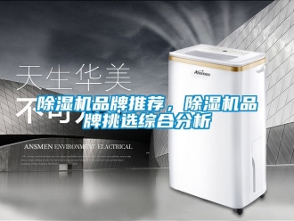 企業手机看片AV短片91看片在线下载機品牌推薦，91看片在线下载機品牌挑選綜合分析