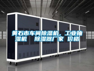企業手机看片AV短片黃石市車間91看片在线下载機，工業抽濕機  91看片在线下载器廠家 價格