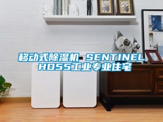 常見問題移動式91看片在线下载機 SENTINEL HD55工業專業住宅