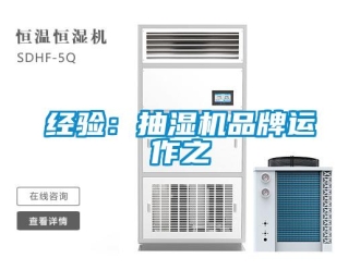 行業手机看片AV短片經驗：抽濕機品牌運作之