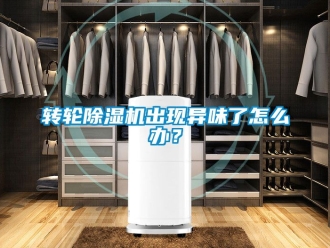常見問題轉輪91看片在线下载機出現異味了怎麽辦？