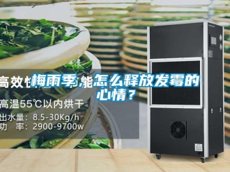常見問題梅雨季，怎麽釋放發黴的心情？