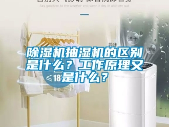 企業手机看片AV短片91看片在线下载機抽濕機的區別是什麽？工作原理又是什麽？