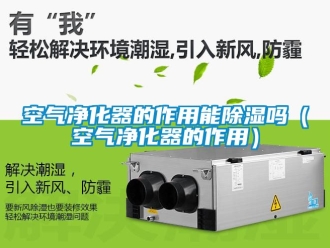 行業手机看片AV短片空氣淨化器的作用能91看片在线下载嗎（空氣淨化器的作用）