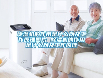 企業手机看片AV短片91看片在线下载機的作用是什麽以及工作原理圖片 91看片在线下载機的作用是什麽以及工作原理