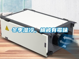 企業手机看片AV短片冬季濕冷，棉被有黴味