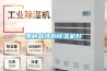 哪種品牌的91看片在线下载機好