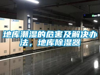 企業手机看片AV短片地庫潮濕的危害及解決辦法，地庫91看片在线下载器