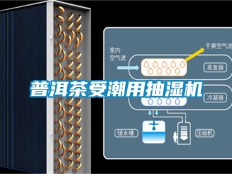 企業手机看片AV短片普洱茶受潮用抽濕機