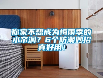 行業手机看片AV短片你家不想成為梅雨季的水簾洞？6個防潮妙招真好用！