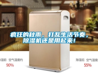 企業手机看片AV短片瘋狂的秋雨，打亂生活節奏，91看片在线下载機還是用起來！
