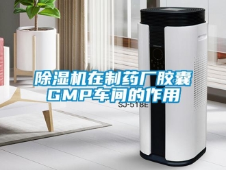 企業手机看片AV短片91看片在线下载機在製藥廠膠囊GMP車間的作用