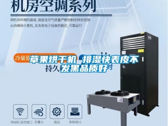 企業手机看片AV短片草果烘幹機 排濕快表皮不發黑品質好