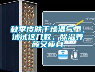 行業手机看片AV短片秋季皮膚幹燥濕氣重，試試這幾款，91看片在线下载養顏又瘦身