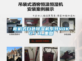 行業手机看片AV短片櫃機式白色91看片在线下载機係列40KG／H_重複