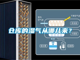 企業手机看片AV短片倉庫的濕氣從哪兒來？