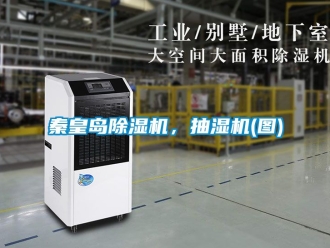 行業手机看片AV短片秦皇島91看片在线下载機，抽濕機(圖)