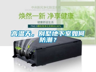 企業手机看片AV短片高溫天，別墅地下室如何防潮？