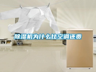 企業手机看片AV短片91看片在线下载機為什麽比空調還貴