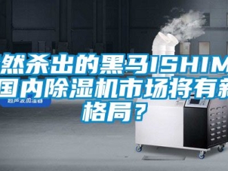 行業手机看片AV短片突然殺出的黑馬ISHIMA,國內91看片在线下载機市場將有新格局？