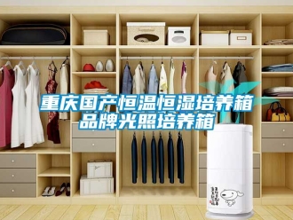 知識百科重慶國產恒溫恒濕培養箱品牌光照培養箱