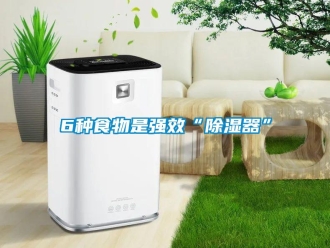 常見問題6種食物是強效“91看片在线下载器”