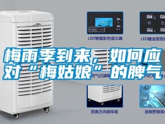 常見問題梅雨季到來，如何應對“梅姑娘”的脾氣
