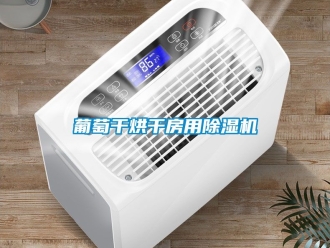 行業手机看片AV短片葡萄幹烘幹房用91看片在线下载機