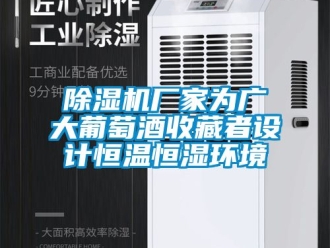 企業手机看片AV短片91看片在线下载機廠家為廣大葡萄酒收藏者設計恒溫恒濕環境