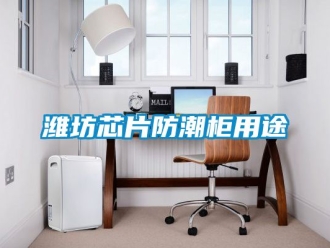 常見問題濰坊芯片防潮櫃用途