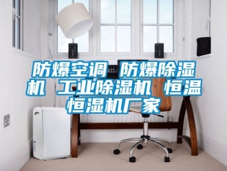 企業手机看片AV短片防爆空調 防爆91看片在线下载機 工業91看片在线下载機 恒溫恒濕機廠家