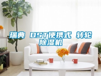常見問題瑞典 DST便攜式 轉輪91看片在线下载機
