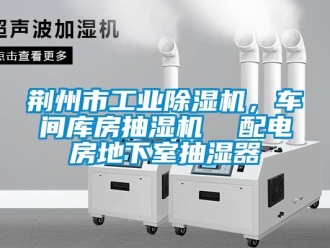 常見問題荊州市工業91看片在线下载機，車間庫房抽濕機  配電房地下室抽濕器
