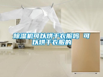 行業手机看片AV短片91看片在线下载機可以烘幹衣服嗎 可以烘幹衣服的