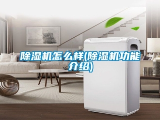 行業手机看片AV短片91看片在线下载機怎麽樣(91看片在线下载機功能介紹)